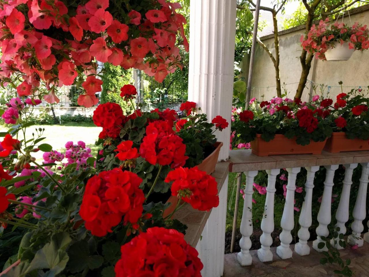 Casa Monica Hotel Baile Felix Exterior photo